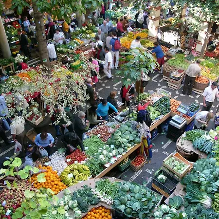 Appartamento Bright *