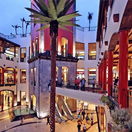 Bright * Funchal (Madeira)