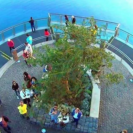 Bright Funchal (Madeira)