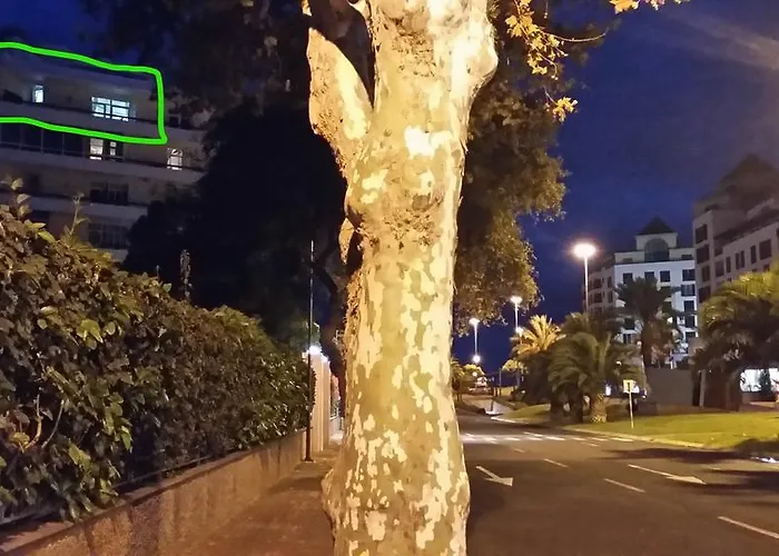 Bright Funchal (Madeira)