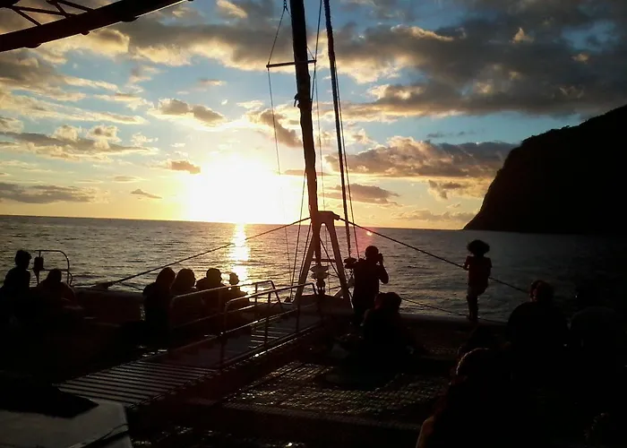 Bright * Funchal (Madeira)