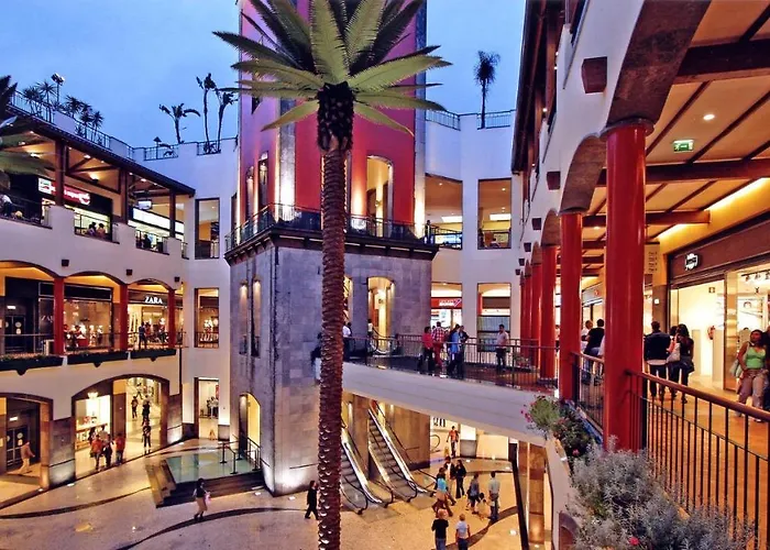Bright * Funchal (Madeira)