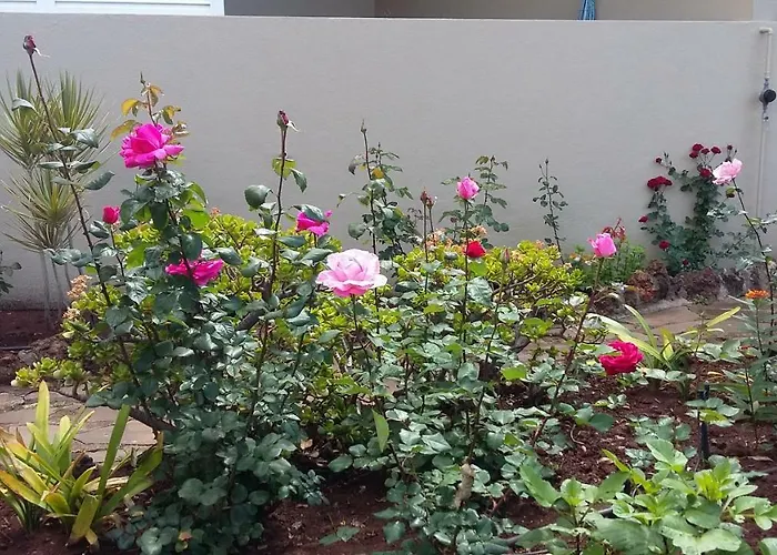 Apartamento Bright *